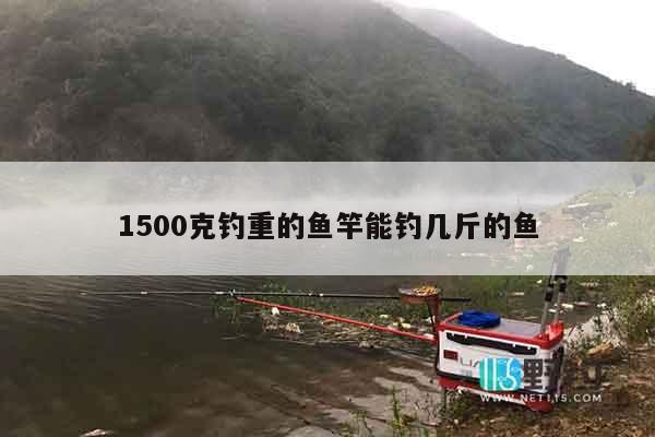 1500克钓重的鱼竿能钓几斤的鱼