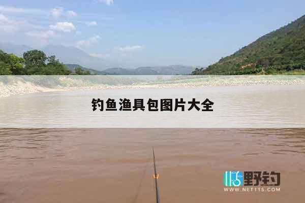 钓鱼渔具包图片大全
