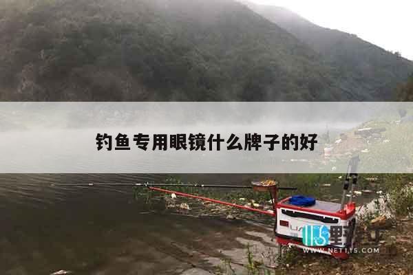 钓鱼专用眼镜什么牌子的好