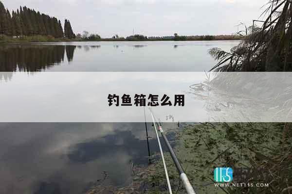 钓鱼箱怎么用