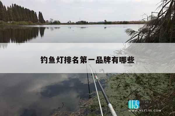 钓鱼灯排名第一品牌有哪些