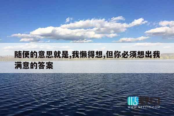 随便的意思就是,我懒得想,但你必须想出我满意的答案