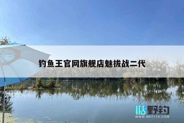 钓鱼王官网旗舰店魅拔战二代