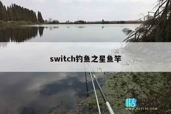 switch钓鱼之星鱼竿