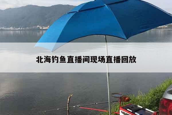 北海钓鱼直播间现场直播回放