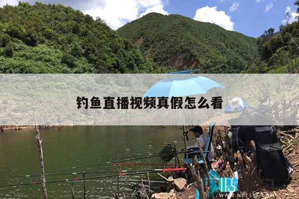 钓鱼直播视频真假怎么看