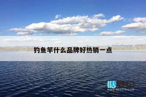钓鱼竿什么品牌好热销一点