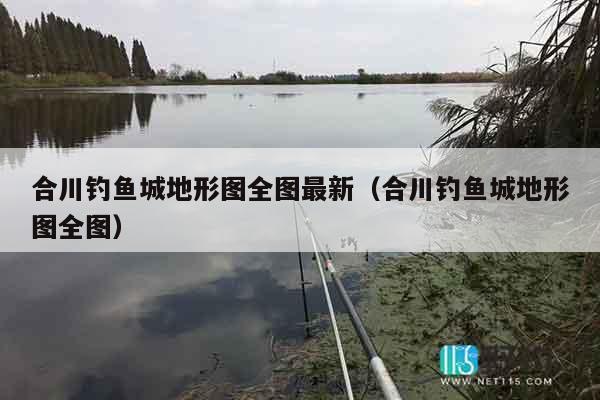 合川钓鱼城地形图全图最新（合川钓鱼城地形图全图）