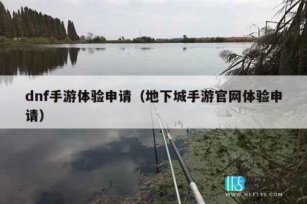 dnf手游体验申请（地下城手游官网体验申请）
