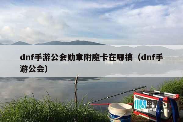 dnf手游公会勋章附魔卡在哪搞（dnf手游公会）
