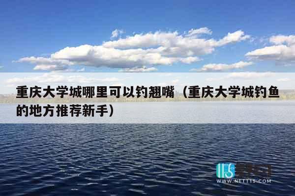 重庆大学城哪里可以钓翘嘴（重庆大学城钓鱼的地方推荐新手）