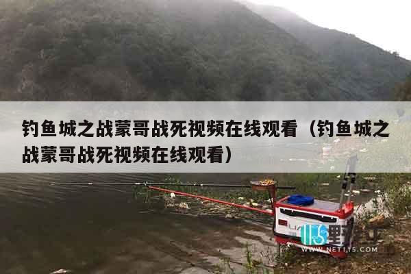 钓鱼城之战蒙哥战死视频在线观看（钓鱼城之战蒙哥战死视频在线观看）