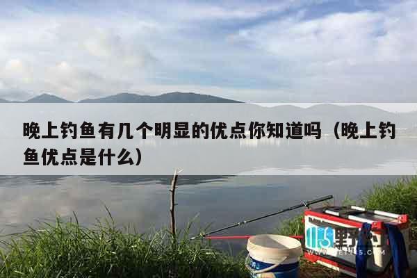 晚上钓鱼有几个明显的优点你知道吗（晚上钓鱼优点是什么）