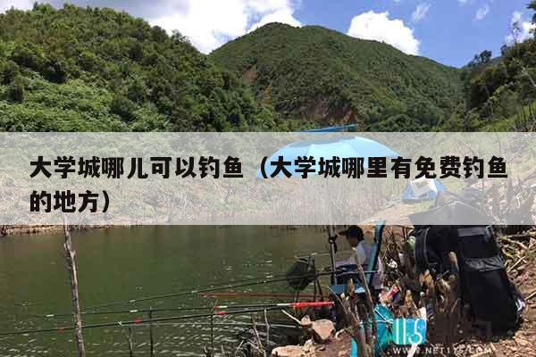 大学城哪儿可以钓鱼（大学城哪里有免费钓鱼的地方）