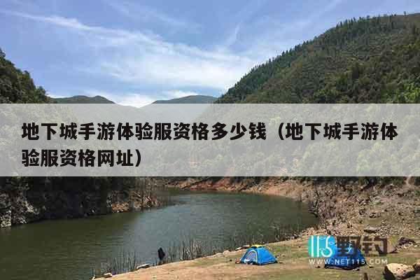 地下城手游体验服资格多少钱（地下城手游体验服资格网址）