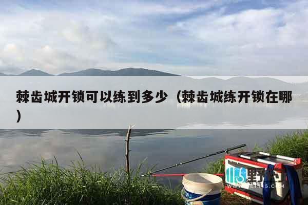 棘齿城开锁可以练到多少（棘齿城练开锁在哪）