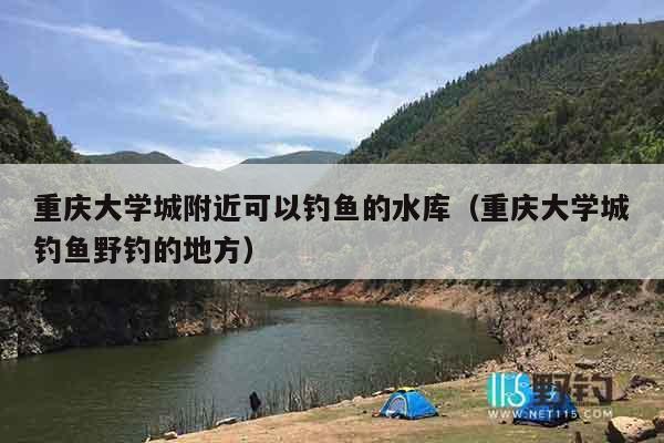 重庆大学城附近可以钓鱼的水库（重庆大学城钓鱼野钓的地方）