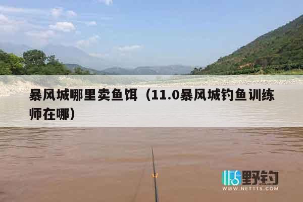 暴风城哪里卖鱼饵（11.0暴风城钓鱼训练师在哪）