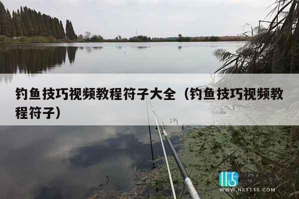 钓鱼技巧视频教程符子大全（钓鱼技巧视频教程符子）