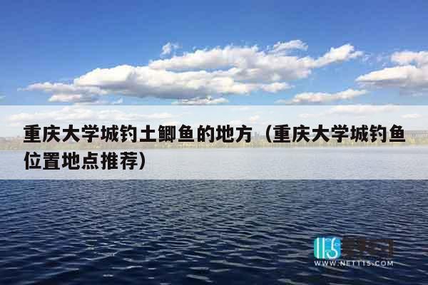 重庆大学城钓土鲫鱼的地方（重庆大学城钓鱼位置地点推荐）