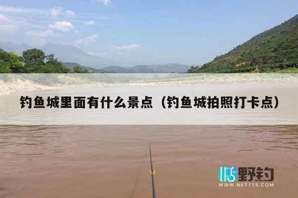 钓鱼城里面有什么景点（钓鱼城拍照打卡点）