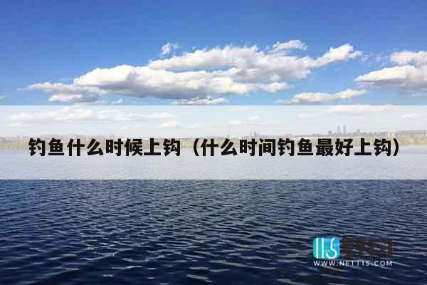 钓鱼什么时候上钩（什么时间钓鱼最好上钩）