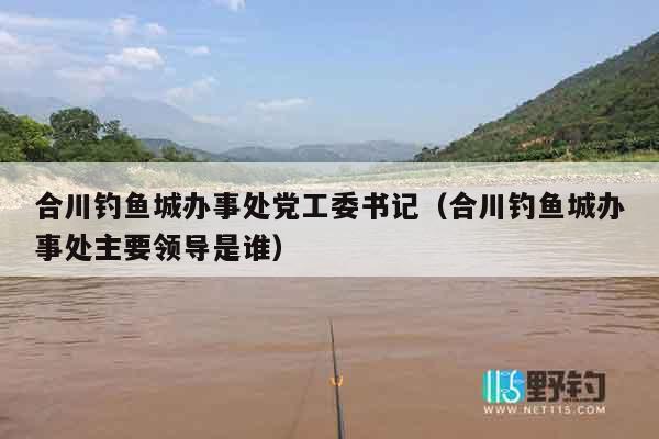 合川钓鱼城办事处党工委书记（合川钓鱼城办事处主要领导是谁）