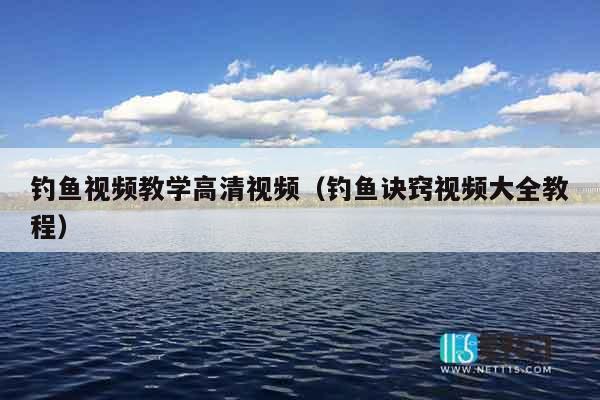 钓鱼视频教学高清视频（钓鱼诀窍视频大全教程）