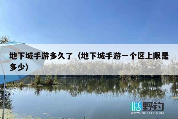 地下城手游多久了（地下城手游一个区上限是多少）