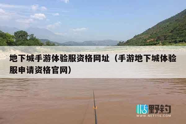 地下城手游体验服资格网址（手游地下城体验服申请资格官网）