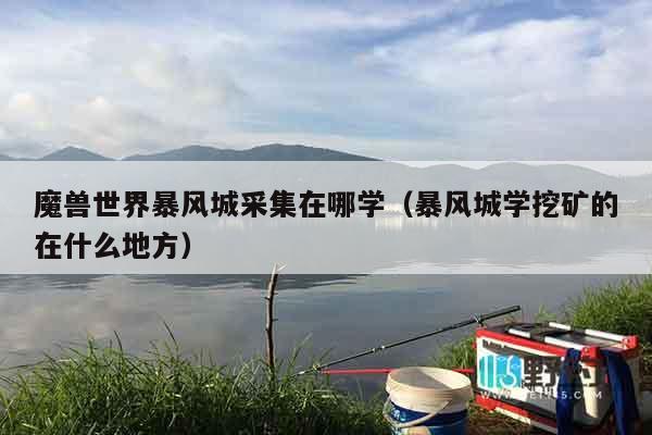 魔兽世界暴风城采集在哪学（暴风城学挖矿的在什么地方）