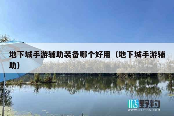 地下城手游辅助装备哪个好用（地下城手游辅助）