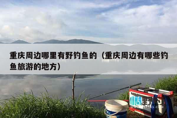 重庆周边哪里有野钓鱼的（重庆周边有哪些钓鱼旅游的地方）