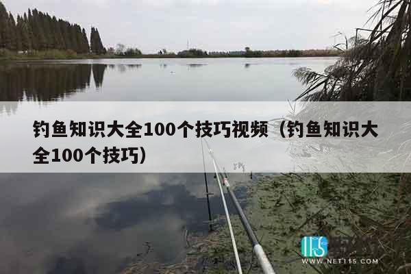 钓鱼知识大全100个技巧视频（钓鱼知识大全100个技巧）