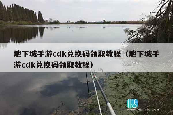 地下城手游cdk兑换码领取教程（地下城手游cdk兑换码领取教程）