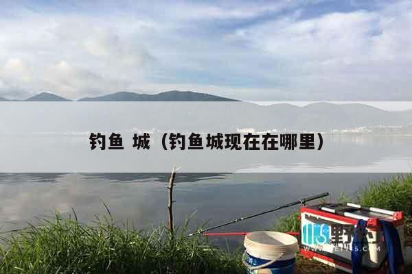 钓鱼 城（钓鱼城现在在哪里）