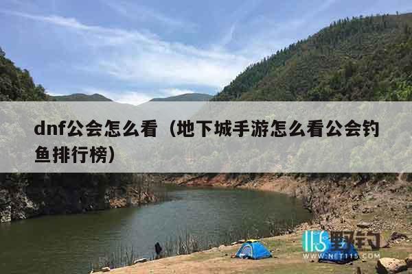 dnf公会怎么看（地下城手游怎么看公会钓鱼排行榜）