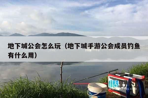 地下城公会怎么玩（地下城手游公会成员钓鱼有什么用）