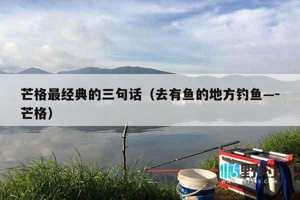 芒格最经典的三句话（去有鱼的地方钓鱼—-芒格）