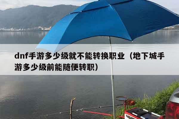 dnf手游多少级就不能转换职业（地下城手游多少级前能随便转职）
