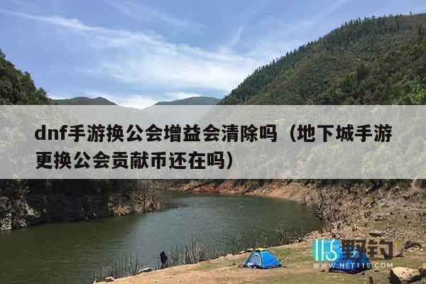 dnf手游换公会增益会清除吗（地下城手游更换公会贡献币还在吗）