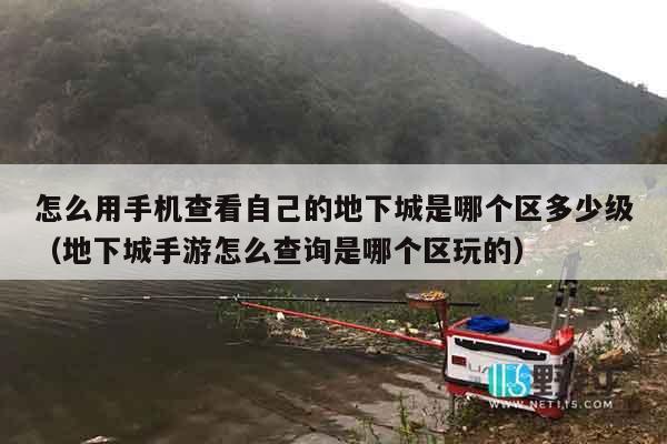 怎么用手机查看自己的地下城是哪个区多少级（地下城手游怎么查询是哪个区玩的）