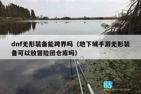 dnf无形装备能跨界吗（地下城手游无形装备可以放冒险团仓库吗）