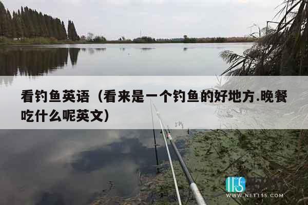 看钓鱼英语（看来是一个钓鱼的好地方.晚餐吃什么呢英文）