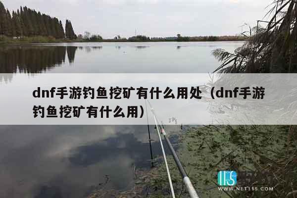 dnf手游钓鱼挖矿有什么用处（dnf手游钓鱼挖矿有什么用）