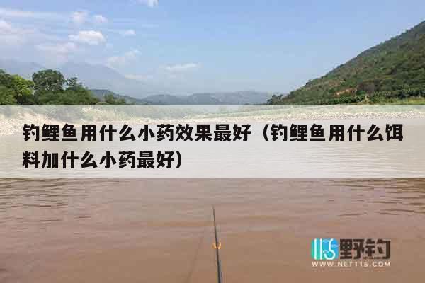 钓鲤鱼用什么小药效果最好（钓鲤鱼用什么饵料加什么小药最好）