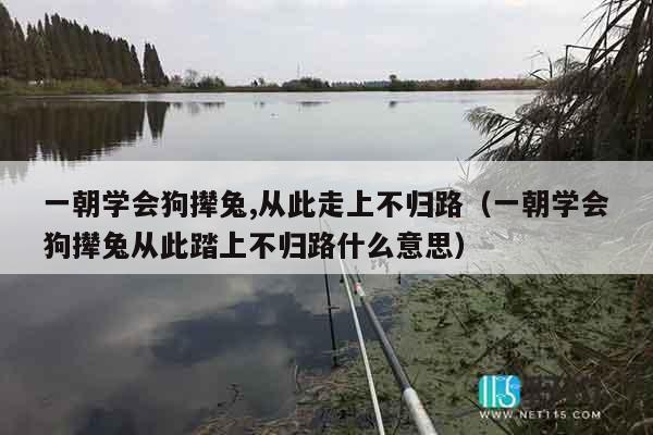 一朝学会狗撵兔,从此走上不归路（一朝学会狗撵兔从此踏上不归路什么意思）