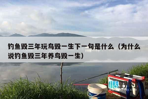 钓鱼毁三年玩鸟毁一生下一句是什么（为什么说钓鱼毁三年养鸟毁一生）