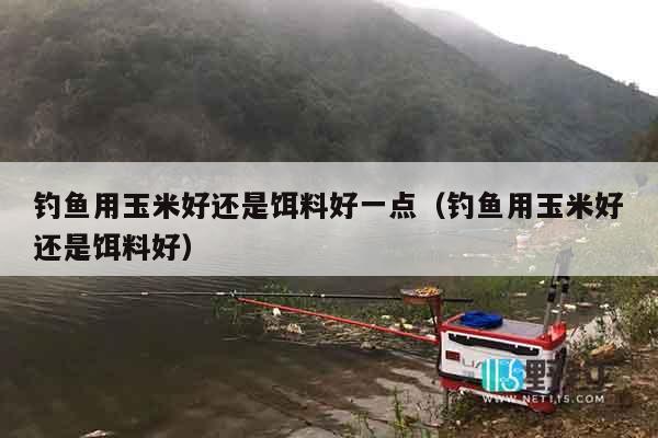 钓鱼用玉米好还是饵料好一点（钓鱼用玉米好还是饵料好）