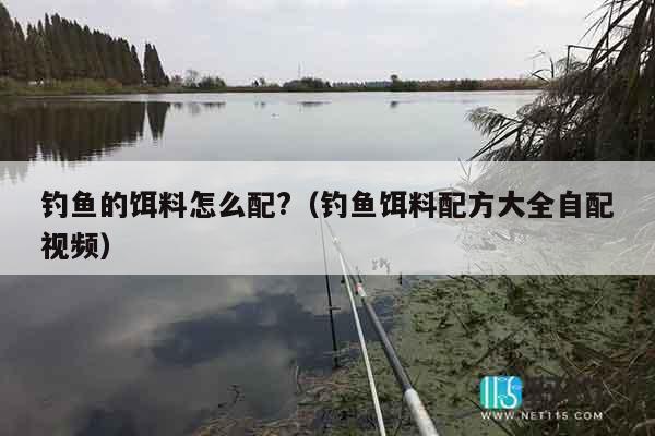 钓鱼的饵料怎么配?（钓鱼饵料配方大全自配视频）